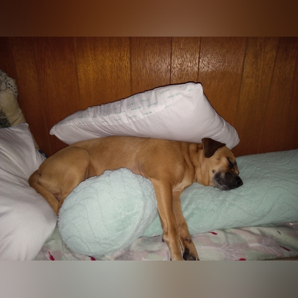 Meet your Posher, Michelle - Picture 2 of 16